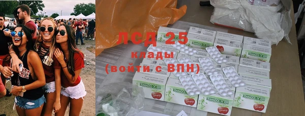 ПСИЛОЦИБИНОВЫЕ ГРИБЫ Балахна