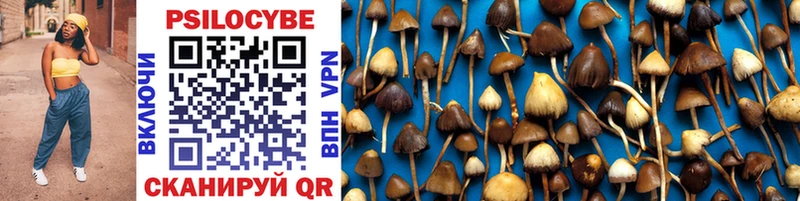 Галлюциногенные грибы Psilocybine cubensis  Усть-Джегута 