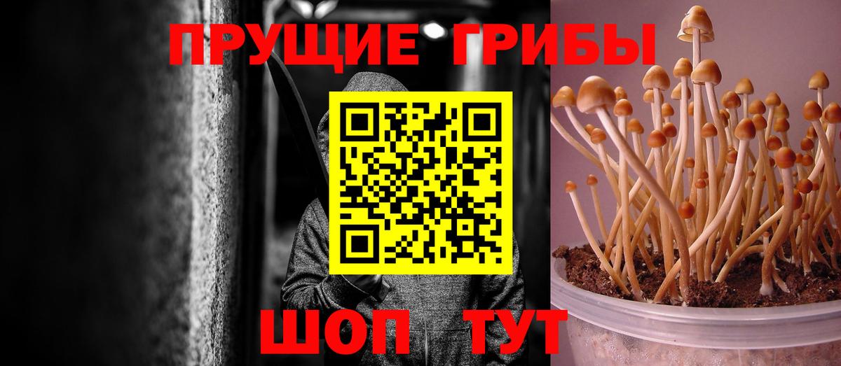 Галлюциногенные грибы мухоморы  Вход с VPN  Усть-Джегута  Псилоцибиновые грибы ЛСД 